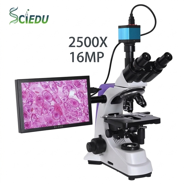 SCIEDU 2500X 16MP Lab Biological HD Zoom Electronic Digital Camera USB VAG 10-inch LCD Led Compound Microscope for Laboratory