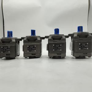 Bomba de Aceite Hidráulica SUNNY HG0-13-01R-VPC HG HG0 HG1 HG2 HYTEK Bomba de Engranajes Internos de Alta Presión HG1-50-01R-VPC HG2 -80 -01R-VPC - Product Image 6