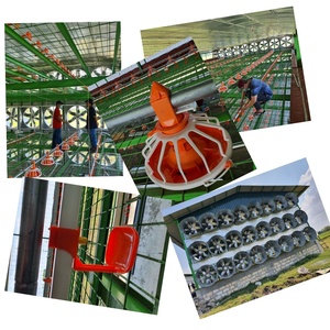 Gia Cầm Farming Thiết Bị/Gà Thịt Pan Feeder/Gia Cầm Ăn Hệ Thống Dòng - Product Image 6