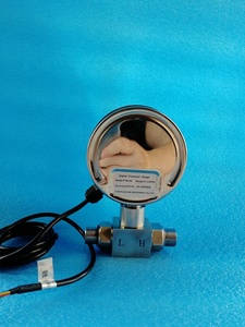 Manometro Digitale Differenziale 1/4NPT con Uscita <span class=keywords><strong>4</strong></span>-<span class=keywords><strong>20mA</strong></span> per Acqua di Rubinetto - Product Image 4