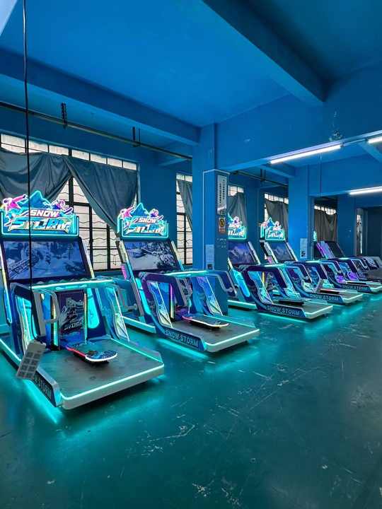 Dinibao New Ticket Redemption Adult Arcade Ski Simulator Snow Storm ...