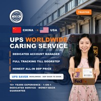 LHS Chine vers États-Unis UPS Express Cargo Dédouanement rapide Transit stable Devis rapide Rapide Fiable Le moins cher Haute performance