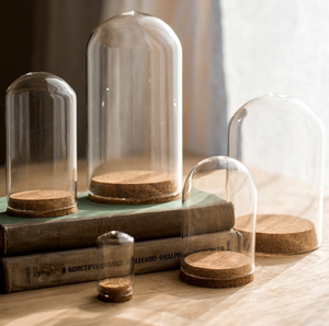Cloche en verre anti-poussière <span class=keywords><strong>pour</strong></span> la vie éternelle couvercle en verre avec lampe Dôme d'affichage avec socle en bois - Product Image 1