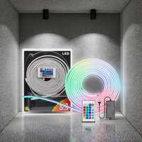 Bande lumineuse LED néon RGB 12V, ruban néon flexible avec télécommande 24 touches, kit en blister pour la décoration publicitaire commerciale