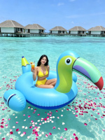 Toucan gonflable géant en PVC personnalisé, jouet aquatique pour adultes, flotteur de piscine, jouet de plage