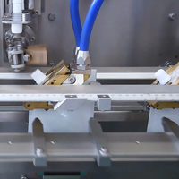 Machine automatique de remplissage et de scellage de sachets à bec verseur avec étiquetage et bouchage pour la pâte de tomate et l'emballage chimique, moteur en acier inoxydable