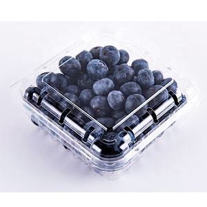 125 250/500g Blister Fruit Blueberry Berry Strawberry Clamshell Packaging Caja de plástico transparente desechable Contenedor con agujeros