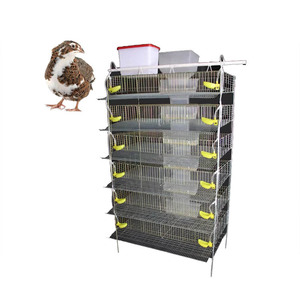Cage d'élevage de caille commerciale - Product Image 3