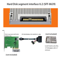 Kabel Data Adaptor Konektor SFF-8654 4i 38Pin ke SFF-8639 U.2 untuk Server, Backplane, Motherboard, dan Workstation