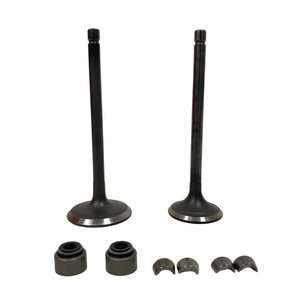 วาล์วเครื่องยนต์มอเตอร์ไซค์, วาล์วมอเตอร์ไซค์ 94/92.8 มม. เหมาะสำหรับ YAMAHA Serow XT225 TTR225 TW225E ชุดวาล์ว - Product Image 3