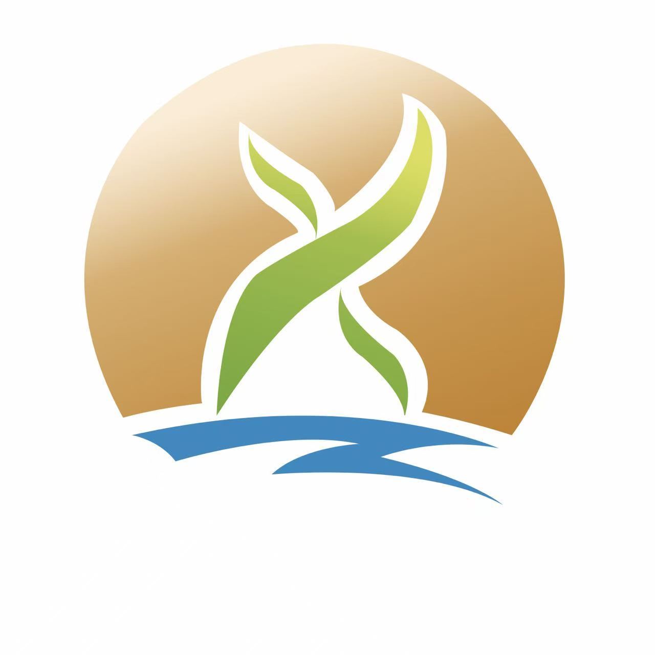 Hebei Zhaixia New Materials Technology Co., Ltd. logo