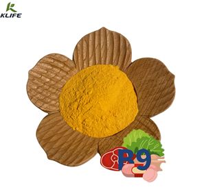 All'ingrosso all'ingrosso vitamina B9 in polvere acido folico acido folico vitamina B9 - Product Image 2