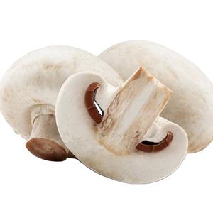 Champignon blanc entier congelé IQF biologique cultivé/Champignon inférieur - Product Image 1