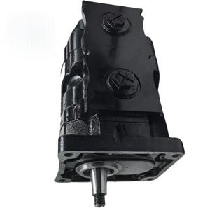 Bomba de Engranajes Hidráulica Birotativa P76 7049 P20/P30/P31/P50/P51/P75/P76 7049112042 P76A678BEOL15-7P - Product Image 2
