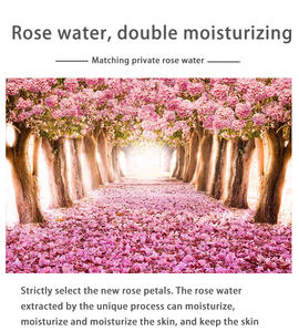 Private Label 4 Fonctions Soins <span class=keywords><strong>de</strong></span> la Peau Hydratation du Visage Hydratant Coups <span class=keywords><strong>de</strong></span> <span class=keywords><strong>Soleil</strong></span> Spray Tonique Apaisant pour la Peau - Product Image 3