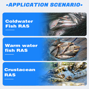 Système d'aquaculture en recirculation pour ferme piscicole industrielle à haute densité, équipement d'élevage de poissons Ras, bassin d'élevage - Product Image 2