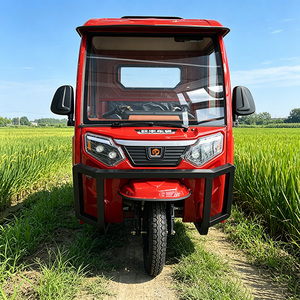 Tricycle cargo électrique à trois <span class=keywords><strong>roues</strong></span>, carrosserie fermée, 1000W, vélo électrique puissant - Product Image 2