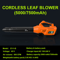Souffleur d'air électrique sans fil portable 40V à batterie au lithium, qualité industrielle et bricolage, sécheuse à main, souffleur de feuilles 575W 680CFM