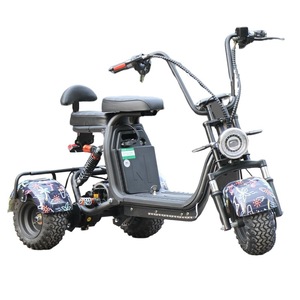 จักรยานสามล้อสำหรับผู้ใหญ่ 1000W 48V ยางกว้าง สกู๊ตเตอร์คู่ - Product Image 2