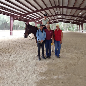 Scuderia per Cavalli di Alta Qualità e Design Economico, Capannone Prefabbricato in Acciaio per Fattoria - Product Image 6