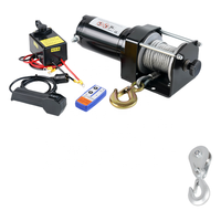 Mini grue de levage portable montée sur camion, capacité de 1000 kg, source d'alimentation électrique, tension 12 V, câble en acier