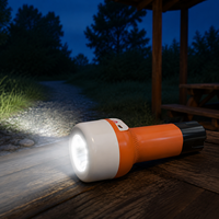 Lampe torche LED rechargeable portable, 21 LED haute luminosité, 2400 mAh, type C, pour le camping, les situations d'urgence et l'éclairage domestique