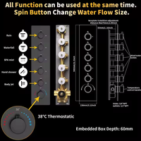 Système de douche contemporain commercial en laiton thermostatique, à effet pluie, cascade et brume, noir, montage encastré, massage, appartement, hôtel