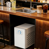 Refroidisseur d'eau de bureau IDIY, usage commercial et hôtelier, eau glacée, acier inoxydable, système RO 180W, mini refroidisseur d'eau