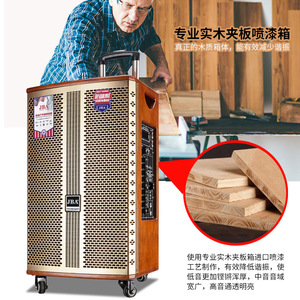 JBA Dynasty 8 Inch Trolley Speaker With Bluetooth Karaoke For Outdoor <b>Square</b> Dance Home Use - Product Image 2