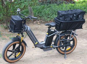 Vélo cargo électrique OEM 750W Monster M1 avec moteur à carburant alternatif, service de livraison en <span class=keywords><strong>coffre</strong></span>, vélo électrique anglais - Product Image 6