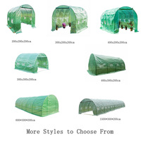 Serre agricole à faible coût, tunnel polyvalent, serre commerciale en acier galvanisé, serre en plastique à simple portée, protection UV