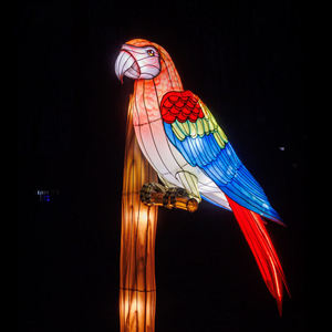 Çin İpek LED Fenerleri Su Geçirmez Hayvan Şekilleri Açık Hava Festival Süslemeleri Cadılar Bayramı/Şükran Günü/Noel/Yılbaşı - Product Image 4