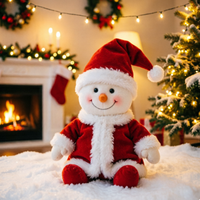 Jouets en peluche personnalisés en boîte mystère, jouets de collection, OEM, ODM, marque privée, usine de poupées en peluche