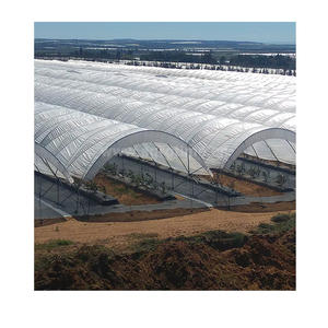 Mini serre pour <span class=keywords><strong>tomate</strong></span> à faible coût grande taille Poly Tunnel haute polythène abri de pluie Agriculture serre pour légumes - Product Image 1
