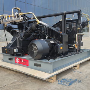 Kompresor Gas alam, kompresor <span class=keywords><strong>CNG</strong></span> vertikal, stasiun pengisian/kompresor Gas Bio, harga pabrik - Product Image 5