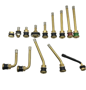 Tr570c tr571c tr572c tr573c phụ tùng sửa chữa ô tô van lốp xe tải bằng đồng thau lốp xe lốp xe lốp xe Van vòi phun bắt nguồn - Product Image 1