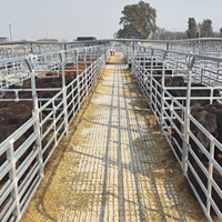 Panneau de clôture pour bétail en fer galvanisé de 6 pieds, enclos pour bétail, chevaux et moutons, facile à assembler