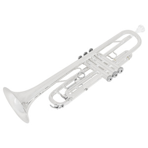 SLADE, instrumento <span class=keywords><strong>de</strong></span> <span class=keywords><strong>banda</strong></span> <span class=keywords><strong>de</strong></span> latón <span class=keywords><strong>de</strong></span> tamaño pequeño, instrumento Musical occidental <span class=keywords><strong>de</strong></span> tres tonos Chapado en plata <span class=keywords><strong>de</strong></span> tonos para estudiantes principiantes - Product Image 3
