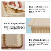 Boîte à lunch pour sushi, jetable, biodégradable, en amidon de maïs, personnalisable, à trois à six compartiments, respectueuse de l'environnement, de qualité alimentaire