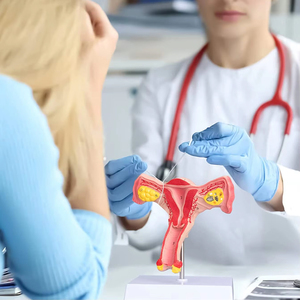 แบบจำลองมดลูกและรังไข่ทั้งสองด้าน แบบจำลองมดลูกหญิง สำหรับสื่อการสอน การเรียนรู้วิทยาศาสตร์การแพทย์ กายวิภาคศาสตร์ แบบจำลองมดลูก - Product Image 6