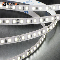Bande LED 2835 CE RoHS en gros, 12V 24V, 120 LED, IP20, éclairage intérieur/extérieur pour résidence et aménagement paysager, lampe en cuivre