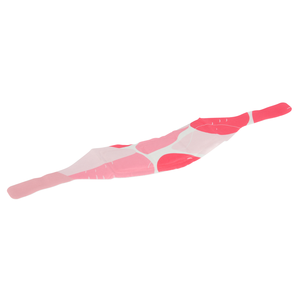 Hochwirksames Nackenwärmer-Pflaster für den Heimgebrauch - Product Image 1