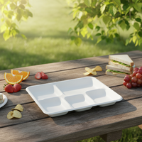 Assiette carrée en bagasse de canne à sucre avec couvercle, 10 pouces, écologique, réutilisable, jetable, moderne, pour desserts de mariage et de fête