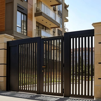 Portail de cour en fer forgé de style européen, élégant et luxueux, pour villa, personnalisable, sûr, de haute qualité, double.