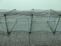 Longue Cage à Poisson Bouchon Dua Ikan 502, Dragon Cage Pour Toutes Sortes De Poissons 22cmX35cmX31Holes (Bubu Naga, Bento Naga, Bito Naga)
