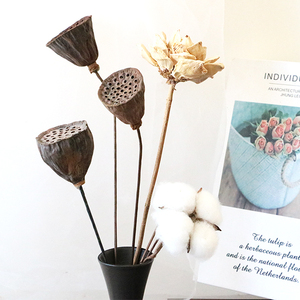 Fiori e Piante Essiccate all'Ingrosso per Decorazioni Domestiche, Ideali per Lauree e Halloween, Inclusi Viburnum e Baccelli di Loto Essiccati - Product Image 2