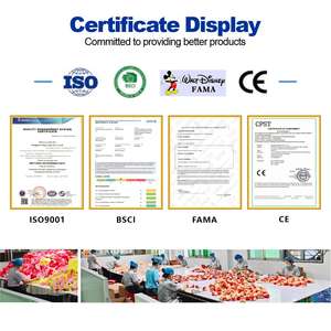 Orman Hayvanları Peluş Özel Yapım Aslan Leopar Kaplan Peluş Oyuncaklar Zürafa Fil Ayı Panda Kaplan Hayvanat Bahçesi Peluş Hediye - Product Image 4