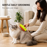 Peigne de massage rechargeable pour animaux de compagnie, vaporisateur électrique pour enlever les poils des chiens et des chats, brosse de toilettage antistatique