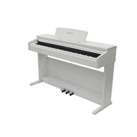 Nouveau style B-96 : Claviers de piano, instruments de musique, piano, accordéon diatonique, orgue électronique pour étudiants
