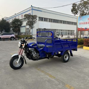 Tricycle à moteur à essence de haute qualité pour l'Afrique, tricycle motorisé à trois roues, tricycle à moteur lourd - Product Image 5